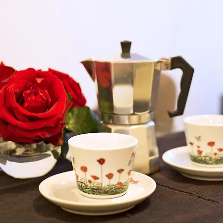 Lägenhet Old Town Centar, Cozy And Quiet Modern Dubrovnik