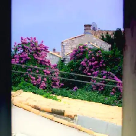 Lejlighed Old Town Centar, Cozy And Quiet Modern